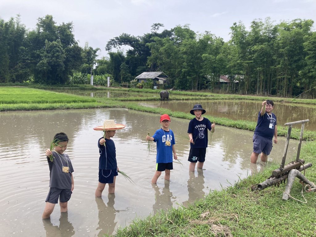 Traidhos Camp 水田活動